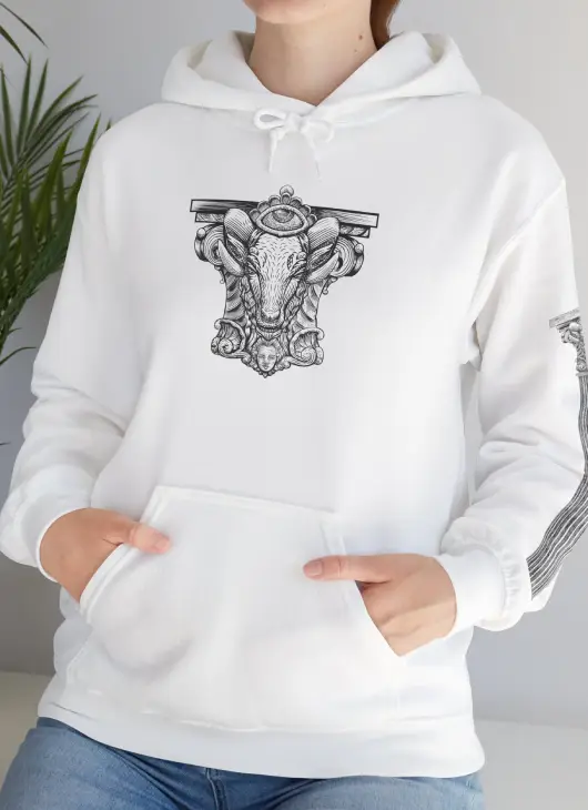 Hoodie Aries Detalle Frente